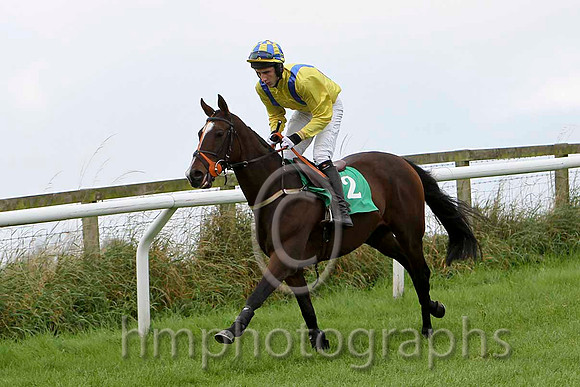 Scottish Affair , Jockey E J O'Connell - 6th- CU2D2239-e