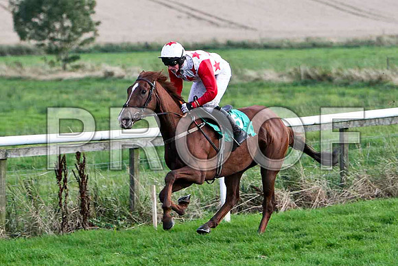 Bridgets Pet - Winner -FT8E5086-e
