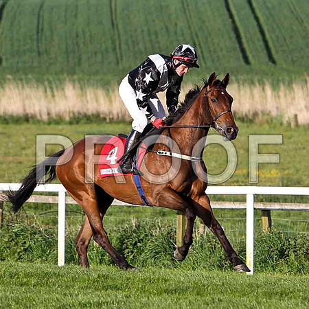 Kanesh , 2nd , Jockey J L Cullen - FT8E3064-e