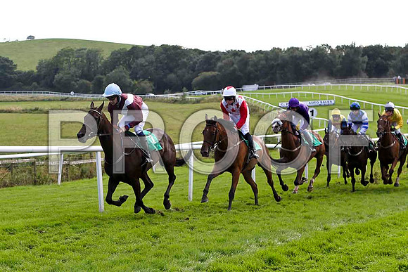 Sainte Careigne 3rd Jockey Mr P W Mullins , Smokey Joe Joe 2nd, Jockey Mr J E Burns & Lord Friday 4th, Jockey Mr M Fahey - FT8E3199-e