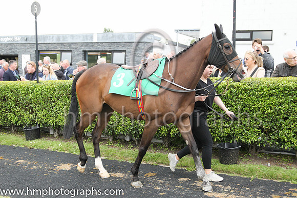 pu Drumbaragh (3 ,white , pink diamond ) Jockey: P J O'Hanlon(5) ,Trainer: Patrick Martin , Owner: James Carolan