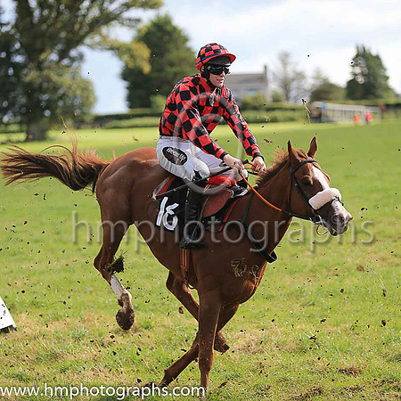 SPEED LIMIT and H D Dunne ( 16 ,red and black check ) Trainer: Liam Kenny,, Owner : Noeleen Kenny