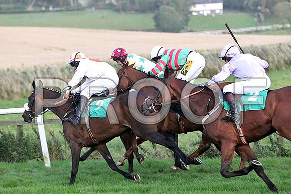 Cooper's Dream 5th , USA - 8th,  Thirteen Up 7th & Maccas Lad - 4th - FT8E5103-e