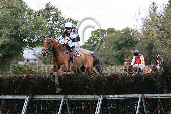 01st LOUGHHILL and S Connor ( 10 ,Antrim (H)- BLACK  WHITE QTD; black  white hlvd sleeves; white cap ) Trainer: Colin S. McKeever , Owner : W.W. Dennison