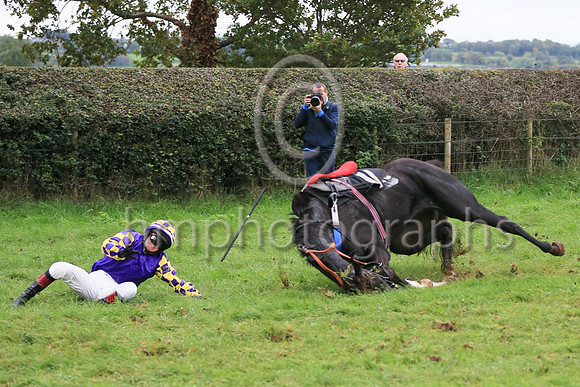 NOREBO and Miss Zoe McMullan ( 11 , PURPLE; purple  yellow check sleeves; purple  yellow check cap ) Trainer: Graham McKeever , Owner : Shane Wilson
