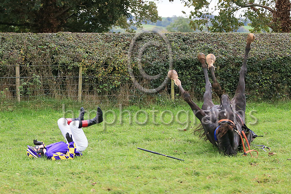 NOREBO and Miss Zoe McMullan ( 11 , PURPLE; purple  yellow check sleeves; purple  yellow check cap ) Trainer: Graham McKeever , Owner : Shane Wilson