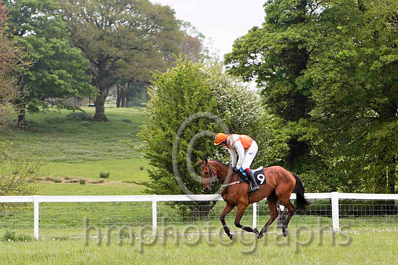 Glenariffe , 2nd, Jockey C Cully - CU2D4809-e