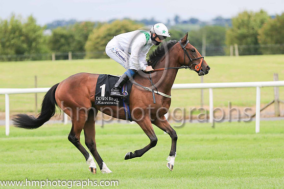 06th Repute and W J Lee ( 1 , white, green epaulettes ) Trainer - P Twomey , Owner - P Twomey