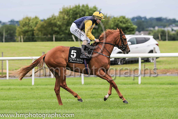 04th Dacesa and S Foley ( 5 , yellow, blue hlvd ) Trainer - Mrs J Harrington , Owner - Measure Of Magic