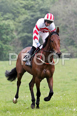 Pond Dipper , 6th, Jockey N T Slevin - FT8E2684-e
