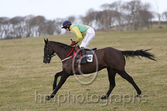 01 Mr Bolt  D H Lavery - Trainer : Sean McParlan, Black and tan check