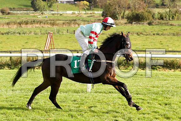 Uncommitted , Jockey Mattie Bowes - Winner  - FT8E4418-e3