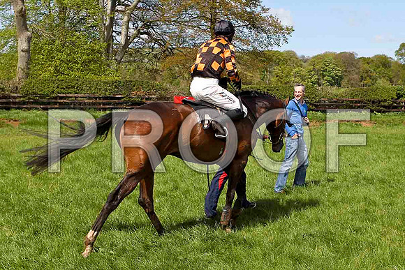 Mister Philson , winner, Jockey Derek O'Connor - CU2D4502-e