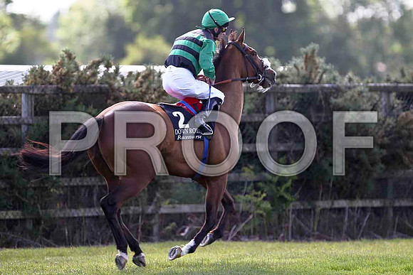 Munnings 6th, Jockey K J Manning - FT8E1367-e