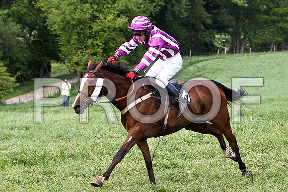 Fifth Race Div 1 - Phoenix AZ (36) 5th, Rider N McParlan - CU2D9669-e