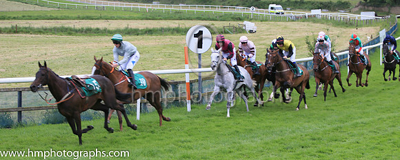 09th Unknown Buyer (10 ,grey ) Jockey: Mr B W Harvey(7) ,Trainer: B R Hamilton