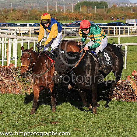 05th Voices Of Spring and J S McGarvey ( 8 , emerald green and orange hooped, red cap ) Trainer - A J Martin , Owner - John P McManus