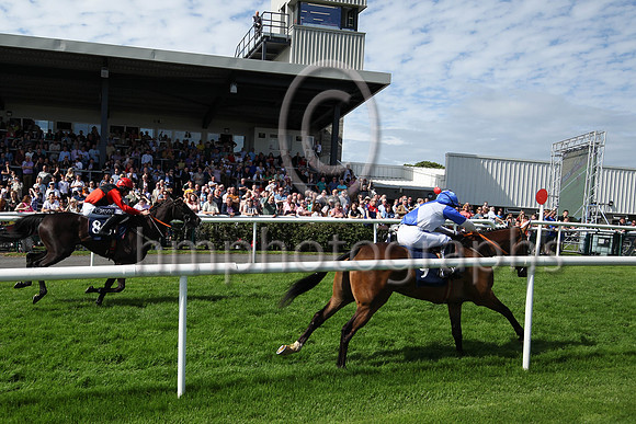 01st Typical Thomas (9 , blue, white diabolo ) Jockey: Peter Smithers7 , Trainer: James Andrew Fahey
