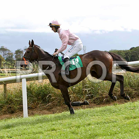 Pink Goddess - 4th , Jockey I J McCarthy - FT8E3860-e