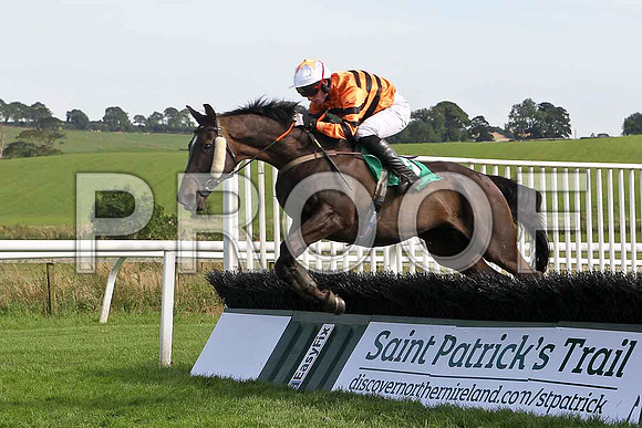 Mr Anderson 10th, Jockey S G McDermott - FT8E3126-e