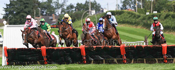 01st Longclawand K M Donoghue ( 1 , pink grey spots ) Trainer - G Elliott , Owner - N H J Racing Syndicate