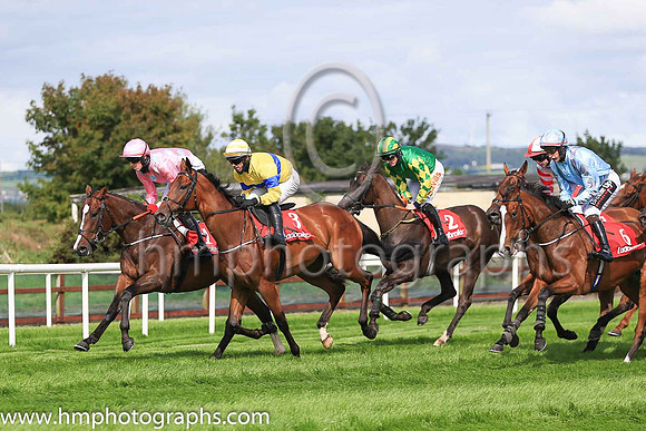 01st Longclaw and K M Donoghue ( 1 , pink grey spots ) Trainer - G Elliott , Owner - N H J Racing Syndicate