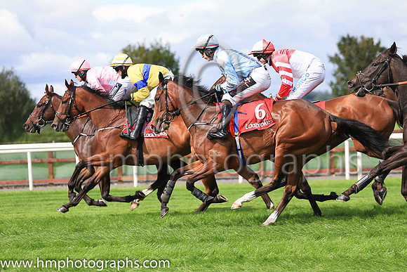 ur Scholastic and J J Slevin ( 6 , light blue, grey braces ) Trainer - J P O'Brien , Owner - Annus Mirabilis Syndicate
