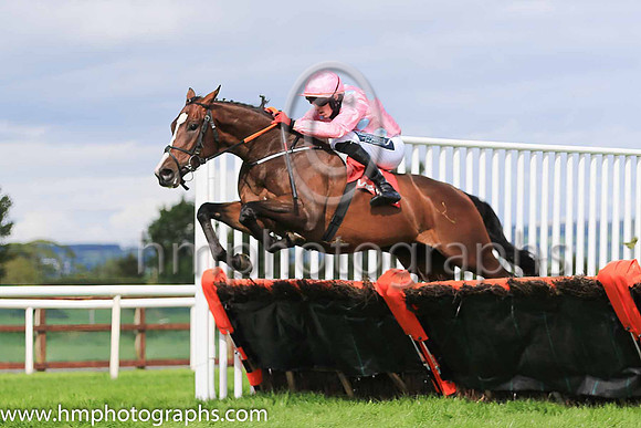 01st Longclaw and K M Donoghue ( 1 , pink grey spots ) Trainer - G Elliott , Owner - N H J Racing Syndicate