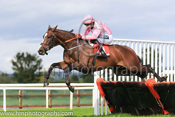 01st Longclaw and K M Donoghue ( 1 , pink grey spots ) Trainer - G Elliott , Owner - N H J Racing Syndicate