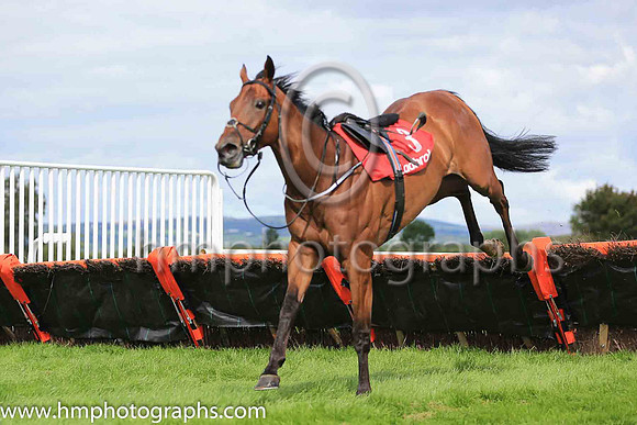 bd Poets Touchand D J O?Keeffe ( 3 , yellow, blue hoop ) Trainer - A Slattery , Owner - Adrian Costello
