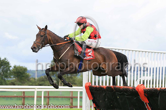 01st Presenting Meghan and J M Moore ( 2 , red, black spots ) Trainer - G P Cromwell , Owner - Jason Trotter  William David Hogg