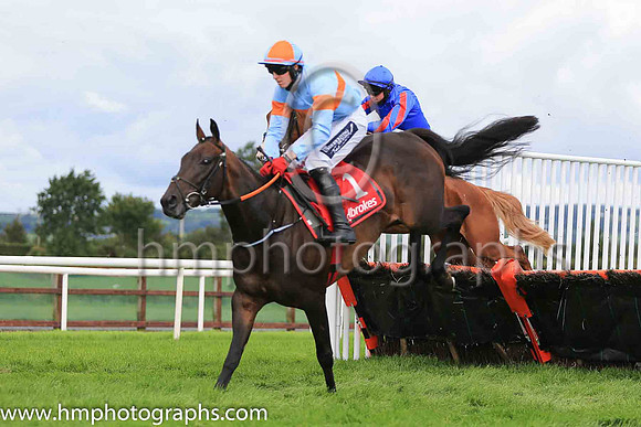 02nd Bioverdia and K M Donoghue ( 1 , light blue, orange hoop ) Trainer - G Elliott , Owner - Alymer Stud Limited
