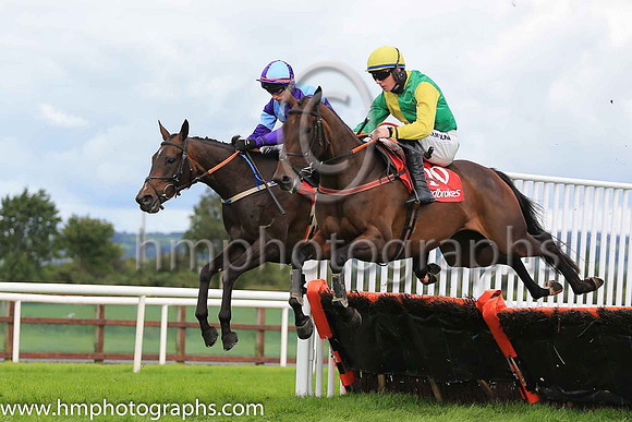 07th Loyal Lioness and D Meyler ( 10 , yellow, green hlvs ) Trainer - Mrs G Callaghan , Owner - Mrs Gillian Callaghan