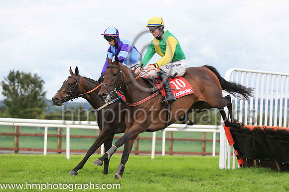 07th Loyal Lioness and D Meyler ( 10 , yellow, green hlvs ) Trainer - Mrs G Callaghan , Owner - Mrs Gillian Callaghan