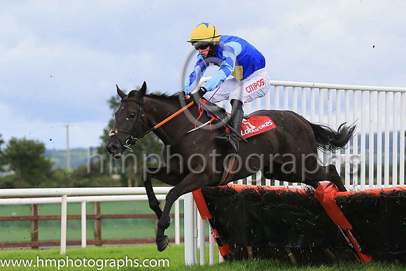 05th  Bonarc and D E Mullins ( 5 , blue, yellow diammond ) Trainer - J P Ryan , Owner - Mules  Tools Racing Syndicate