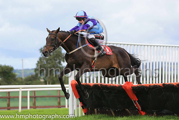 06th Scarlet Rebel and J Slevin ( 11 , light blue and dark blue qtrs ) Trainer - Caroline Mccaldin , Owner - Alan McCaldin