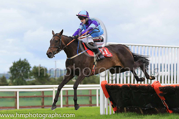 06th Scarlet Rebel and J J Slevin ( 11 , light blue and dark blue qtrs ) Trainer - Caroline Mccaldin , Owner - Alan McCaldin