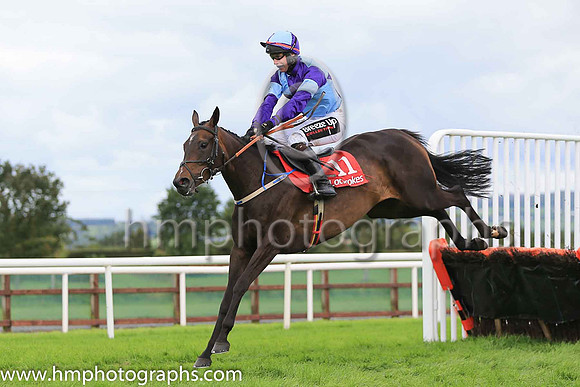 06th Scarlet Rebel and J J Slevin ( 11 , light blue and dark blue qtrs ) Trainer - Caroline Mccaldin , Owner - Alan McCaldin