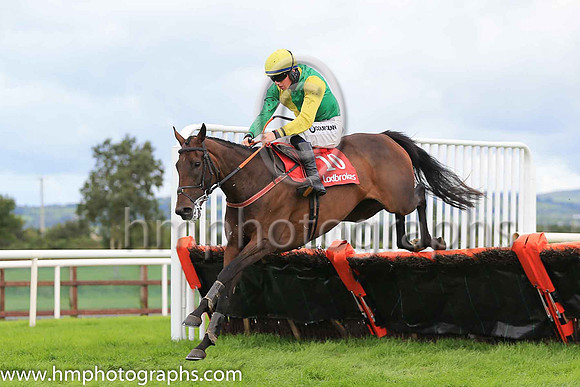 07th Loyal Lioness and D Meyler ( 10 , yellow, green hlvs ) Trainer - Mrs G Callaghan , Owner - Mrs Gillian Callaghan