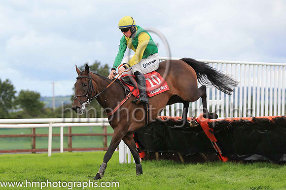 07th Loyal Lioness and D Meyler ( 10 , yellow, green hlvs ) Trainer - Mrs G Callaghan , Owner - Mrs Gillian Callaghan