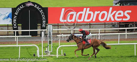 01st Mig Des Taillons and Mr D G Lavery ( 3 , red, black hoops ) Trainer - Patrick Turley , Owner - P L Polly  Mrs Patrick Turley