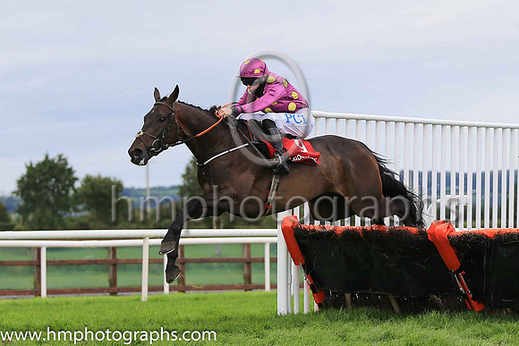 01st Premium Package and Rachael Blackmore ( 9 , blue, yellow stars ) Trainer - H De Bromhead , Owner - Patrick Joseph Redmond