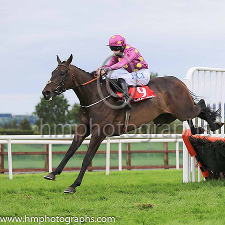 01st Premium Package and Rachael Blackmore ( 9 , blue, yellow stars ) Trainer - H De Bromhead , Owner - Patrick Joseph Redmond