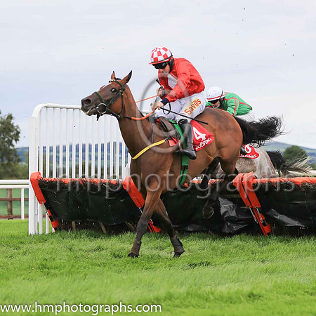 03rd Red Gerry and S W Flanagan ( 4 , red, white diamond ) Trainer - N Meade , Owner - Red Gerry Syndicate