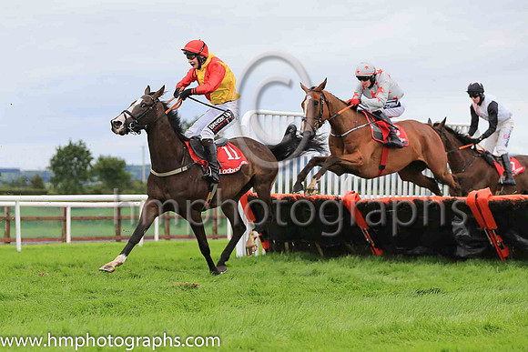 04th Steal The Thunder and J J Slevin ( 11 , yellow, red chavron ) Trainer - S R B Crawford , Owner - Michael J McKeown