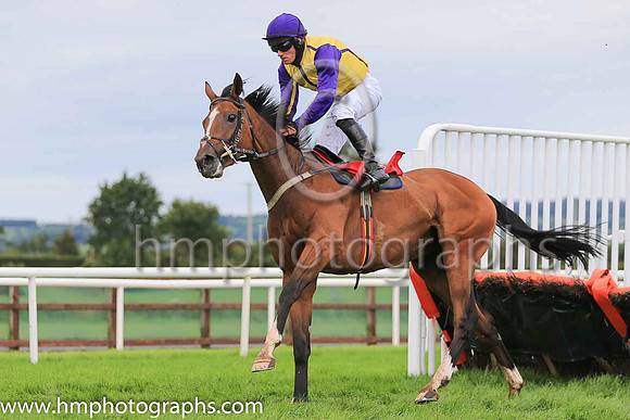 08th Arago and S D Torrens ( 5 , yellow, blue seams ) Trainer - M Torrens , Owner - Joseph John Johnston