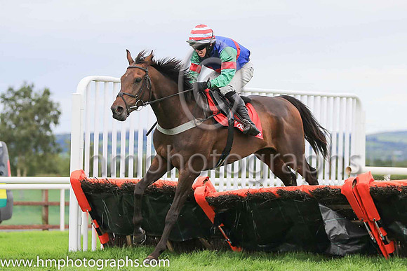 10th Daicheadacuig and D J O'Keeffe ( 6 , blue, red hoop ) Trainer - A J McNamara , Owner - Brian Mortell