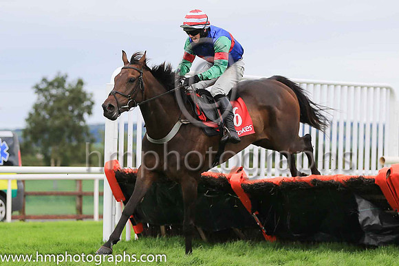 10th Daicheadacuig and D J O'Keeffe ( 6 , blue, red hoop ) Trainer - A J McNamara , Owner - Brian Mortell