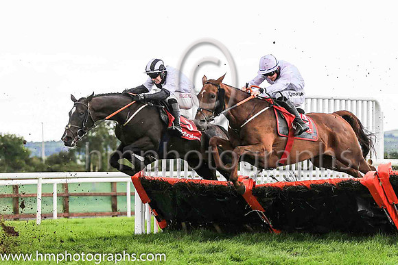 03rd Mary Of De Sorrows and J M Moore ( 5 , black and white hlvd ) Trainer - G P Cromwell , Owner - Martin Hannan
