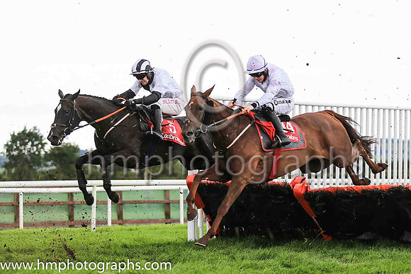 04th Robin Deuz Poi ?and Reserve 1 ( 14 , white ) Trainer - G Elliott , Owner - Go Go Go Partnership